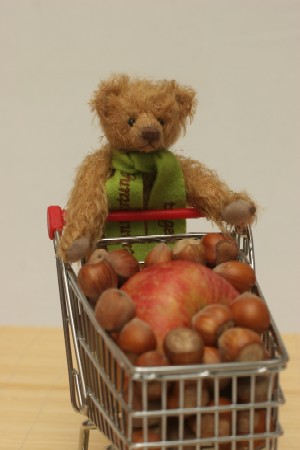 Auch der Nachhaltigkeit-Teddy kauft bewusst ein! (www.kinder-und-nachhaltigkeit.de)