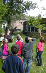 Schüler vor dem Esskastanienbaum