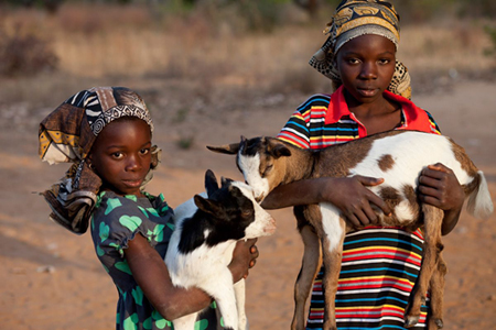 Aida und Zita mit zwei Ziegen, die ihre Familie in Mosambik mit Oxfams Unterstützung erhalten haben.  Foto: Abbie Trayler-Smith/ Oxfam Australia